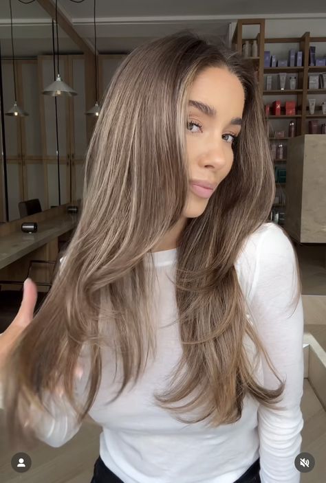 Cold Caramel Hair Color, Brown Hair Lots Of Blonde Highlights, Neutral Brunette Balayage, Brown Hair With Baby Highlights, Quiet Luxury Hair, Light Frosted Brown Hair, Dark Blonde Shoulder Length Hair, Brunette Ash Balayage, Asian Light Brown Hair