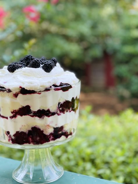 Blackberry Trifle with Luscious Custard Filling - a Creamy, Colorful Dessert Blackberry Trifle, Chocolate Meringue Pie, English Trifle, Blackberry Dessert, Clafoutis Recipes, Blackberry Crumble, Berry Trifle, Dinner Desserts, Parfait Desserts