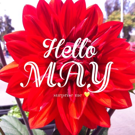 Hello May Month, Goodbye April Hello May, May Images, Goodbye April, April Hello, May Month, Thought Cloud, Welcome May, May Quotes