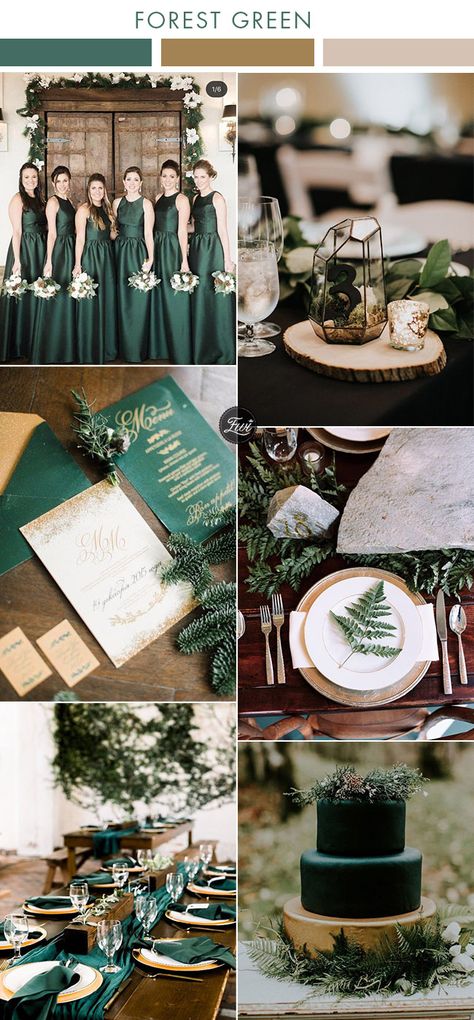 moody industrial geometric forest green and gold modern wedding colors Modern Wedding Colors, Moody Industrial, Forest Green And Gold, Emerald Wedding Colors, Enchanted Forest Wedding Theme, Green And Gold Wedding, Forest Green Wedding, Green Gold Weddings, Olive Green Weddings