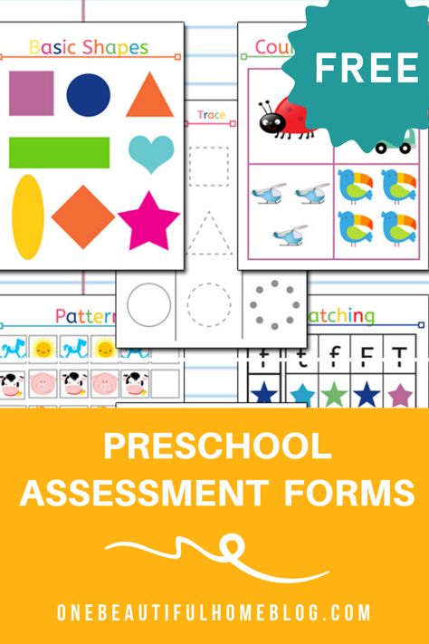 Pre K Assessment Forms Free, Preschool Assessment Forms, Preschool Portfolio, Kindergarten Assessment, Preschool Assessment, Homeschooling Preschool, Preschool Planning, Free Preschool Printables, Toddler Education