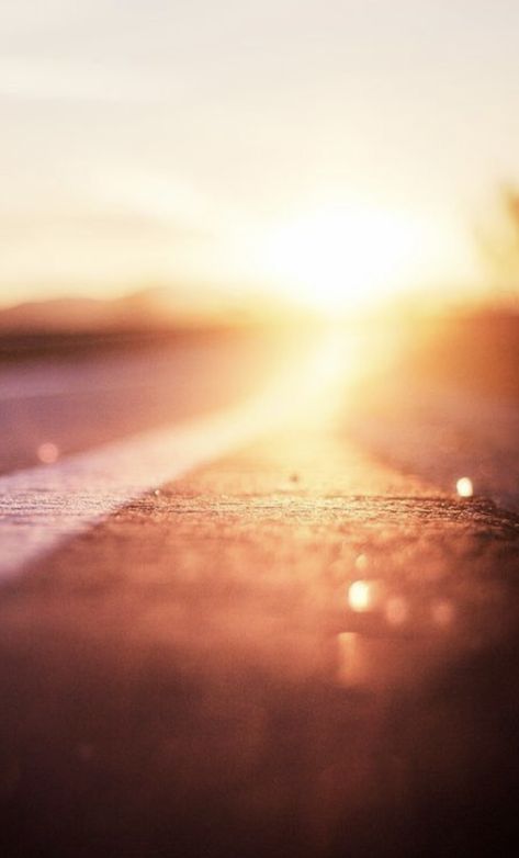 Earth Song, Golden Hour Photography, Truth Be Told, Light Leak, On The Road Again, To Be Honest, Jolie Photo, Morning Light, Over It