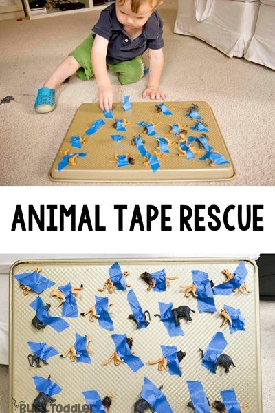 Animal Tape Rescue, Toddler Activities Daycare, Easy Toddler Activities, Baby Play Activities, Fun Activities For Toddlers, Toddler Sensory, Baby Activity, Baby Learning Activities, Toddler Activity