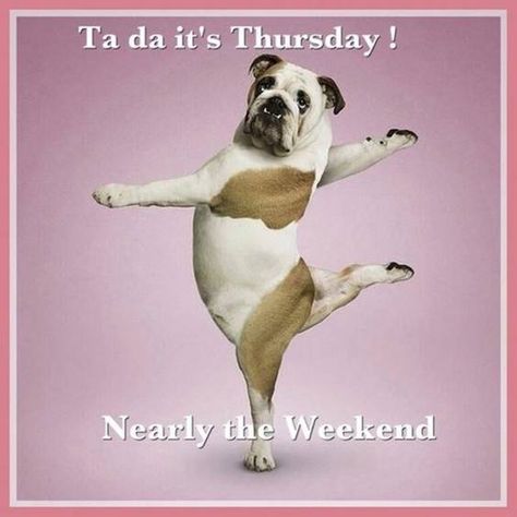 good morning happy thursday meme Funny Thursday Quotes, Thursday Meme, Happy Thursday Images, Thursday Images, Thursday Humor, Good Thursday, Happy Thursday Quotes, It's Thursday, Good Morning Thursday