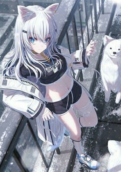 Diablo Anime, Anime Warrior, Anime Wolf, Dessin Adorable, Anime Cat, 영감을 주는 캐릭터, Anime Angel, Anime Boys, Cat Girl