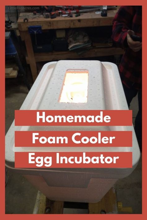 Homemade Incubator Diy, Diy Chicken Egg Incubator, How To Build A Egg Incubator, Diy Incubator Chicken, Diy Chicken Incubator, Diy Egg Incubator How To Make, Diy Incubator Eggs, Incubating Quail Eggs, Egg Incubator Diy