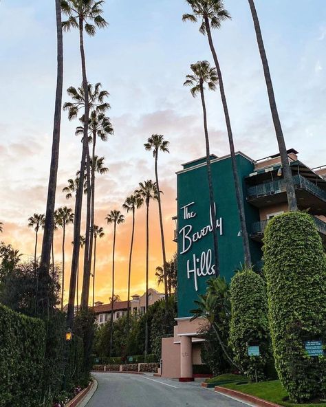 The Beverly Hills Hotel, California 🌴 📷: [instagram.com/calistreetshots] Honeymoon Goals, La Aesthetic, Hollywood Dream, Los Angeles Aesthetic, Cali Trip, The Beverly Hills Hotel, Vision Book, La Life, Cali Life