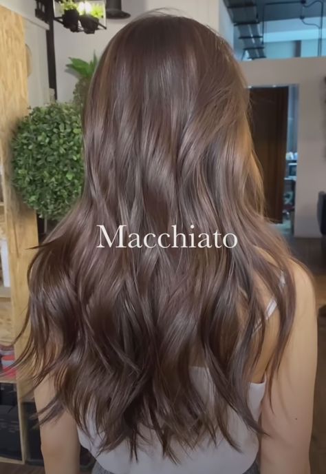 Dark Warm Brown Hair, Brown Hair Looks, Ash Hair Color, Brown Hair Inspo, Brunette Hair With Highlights, Brunette Balayage Hair, Brown Hair Balayage, Hair Stylies, Haircuts Straight Hair