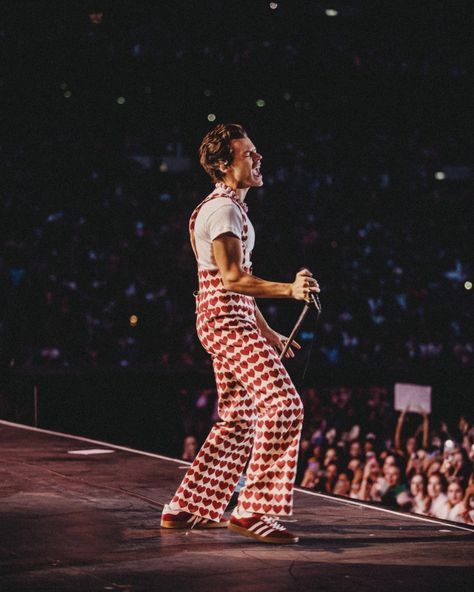 Harry Styles Outfits Concert, Harry Styles Outfits Inspiration Concert, Harry Styles Tour Outfits, Harry Styles Outfits Inspiration, Harry Styles Outfits, Harry Styles Concert Outfits, Harry Styles Love On Tour Outfits, Harry Styles Gucci, Harry Styles Concert Outfit