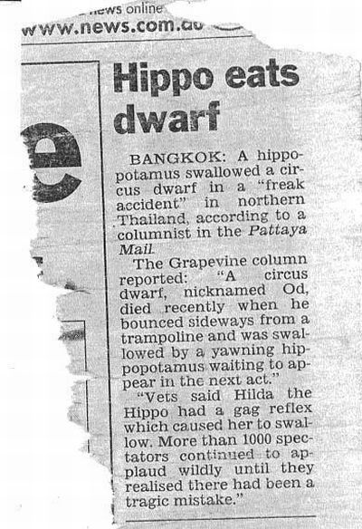 Hippo is in real trouble now!  25 Funny Newspaper Articles Gallery Hippo Eating, Funny Headlines, Crazy Mind, Hungry Hippos, Demotivational Posters, Newspaper Headlines, Boring Day, Newspaper Article, Funny News