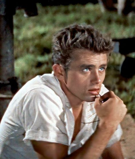 Marlon Brando James Dean, Xavier Samuel, Elia Kazan, James Dean Photos, Sets Your Soul On Fire, Jimmy Dean, East Of Eden, Hollywood Men, Marcel Proust