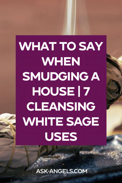 White sage (salvia apiana) is well known for it's cleansing and protective properties. Learn the benefits and uses of White Sage in this step-by-step guide. #smudging #housecleansing House Cleansing Spell With Sage, What To Say When Burning Sage, Sage Cleansing Mantra, Sage House Cleansing Smudging Prayer, Negative Energy Cleanse Home Burning Sage, Sage Uses, Salvia Apiana, Sage Smudging, Light Work