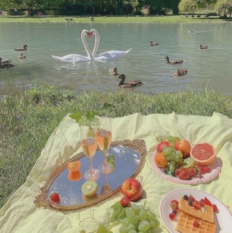 Picnic Food Ideas, Cottagecore Picnic, Romantic Cottagecore, Aesthetic Picnic, Picnic Aesthetic, Picnic Baskets, Picnic Food, The Mood, Pink Aesthetic