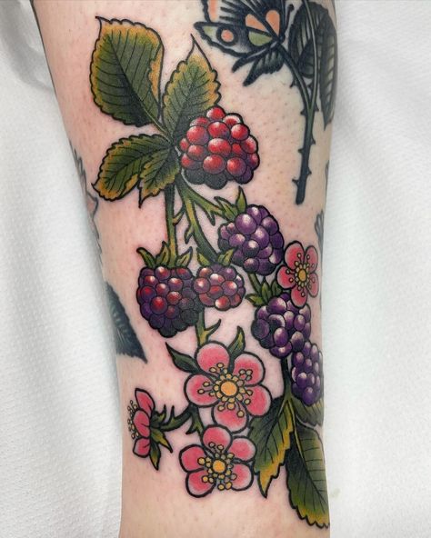 Lauren Perks | It’s berry season! 🍓 🫐 I’d love to tattoo more brambles and fruity tattoos ❤️ @bloomstreettattoo #manchestertattoo #manchestertattooist… | Instagram American Traditional Raspberry Tattoo, Boysenberry Tattoo, Blackberry Tattoo Sleeve, Berry Bush Tattoo, Fruity Tattoos, Mulberry Tattoo, Berry Tattoos, Fruit Tattoo Ideas, Fruit Tattoos