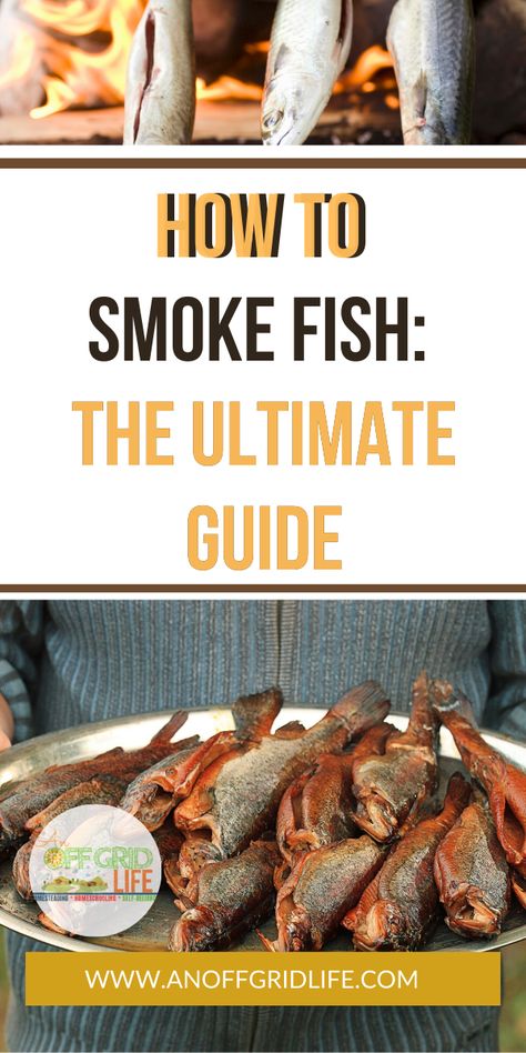 Learn how to smoke fish using a variety of smoking techniques like hot and cold smoke, campfire, oven and grill smoking. #smokedfish #smoker #fishrecipes Smoked Trout Recipe, Smoked Fish Recipe, Fish Smoker, Catfish Recipes, Trout Recipes, Smoked Salmon Recipes, Smoked Trout, Traeger Recipes, Smoked Cooking