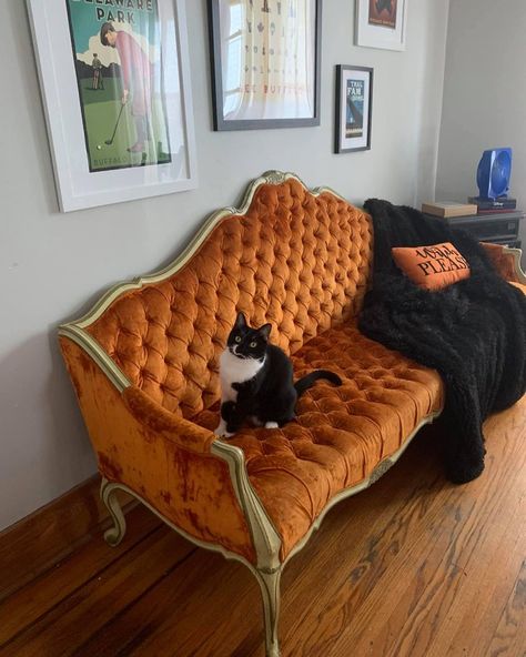 Bright Orange Couch, Thrifted Couch, Best Thrift Store Finds, Victorian Couch, Orange Couch, Weird Furniture, Emotional Attachment, Moo Moo, Victorian Steampunk