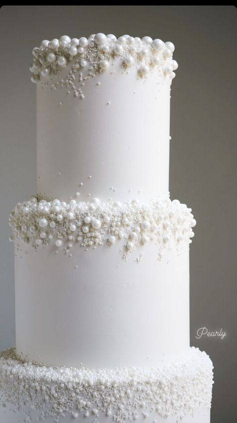 Modern Glam Wedding Cake, Unique Wedding Style, Bridal Cakes Ideas Wedding Trends, Classy Wedding Ideas Decor, 3 Tier Pearl Wedding Cake, White Cake For Wedding, Classy Italian Wedding, Wedding Cake 2024 Trends, Wedding Cake Ideas Elegant Beautiful