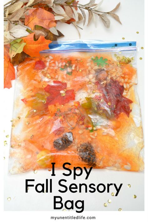 Fall Sensory Bags, Fall Activities For Kids, Fall Sensory, Fall Lesson Plans, Sensory Bottle, Sensory Bag, Sensory Bags, Fall Lessons, Bags For Kids