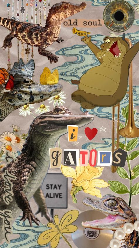 Cute Crocodile Wallpaper, Silly Quotes, Nature Collage, Alligator Crocodile, Extinct Animals, Book Art Diy, Cute Backgrounds, Animal Wallpaper, Ipad Wallpaper