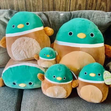 Squishy Mellows, Cute Squishmallows, Duck Stuffed Animal, Squish Mellow, Squish Mallows, Cool Fidget Toys, Cute Squishies, Stuff Animals, Cute Plushies