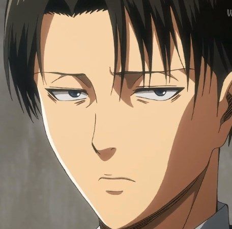 Levi Ackerman Face, Levi Ackermann, Levi And Erwin, Captain Levi, Pumpkin Face, Attack On Titan Fanart, Attack On Titan Levi, Face Expressions, Pumpkin Faces