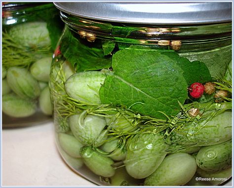 Cucamelon Recipes, Mantu Recipe, Refrigerator Pickle Recipes, Wassail Recipe, Friday Dinner, Fantasy Food, Relish Tray, Refrigerator Pickles, Relish Trays