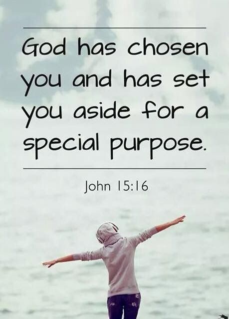 Chosen by God Chosen By God, John 15 16, Encouraging Bible Verses, Catholic Quotes, Christian Quotes Inspirational, Prayer Quotes, Religious Quotes, Scripture Quotes, Verse Quotes