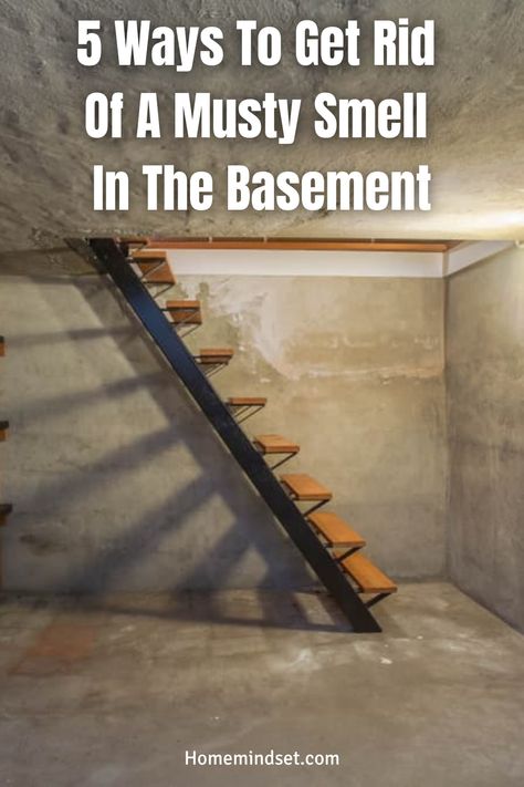 Basement Closet Ideas Diy, Basement Smells Musty, Musty Basement Smell, Get Rid Of Musty Smell In House, Get Rid Of Basement Smell, How To Remove Musty Smell From House, Get Rid Of Musty Smell In Basement, Musty Basement How To Get Rid Of, How To Get Musty Smell Out Of House