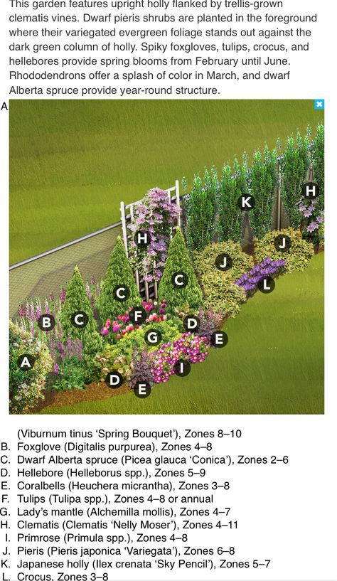 Noethwest "hide a chain link fence" guide from lowes Hide A Chain Link Fence, Flower Garden Plans, Front Yard Garden Design, Flower Garden Design, Garden Shrubs, Fence Landscaping, Chain Link Fence, Home Landscaping, Garden Yard Ideas