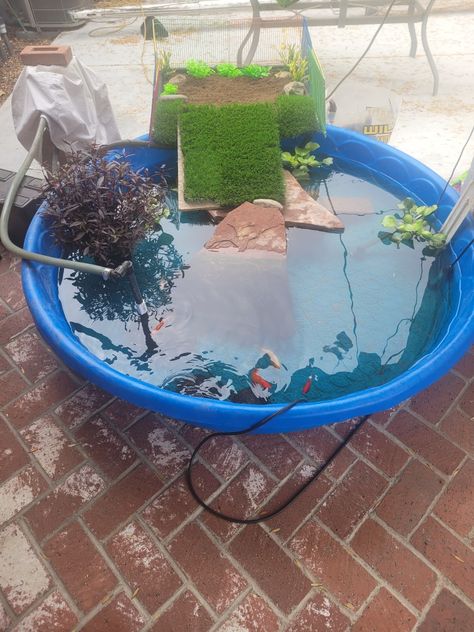 Indoor Turtle Pond Diy, Outdoor Turtle Habitat Red Ear Slider, Outdoor Red Eared Slider Habitat, Red Eared Slider Turtle Habitat Outdoor, Red Eared Slider Turtle Habitat Diy, Red Ear Turtle Habitat Ideas, Red Eared Slider Turtle Habitat Tanks, Turtle Pond Diy, Turtle Ponds Backyard Diy