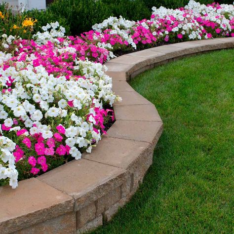 10 Best Small and Simple Flower Bed Ideas for 2021 | Family Handyman Simple Flower Bed Ideas, Backyard Flowers Beds, English Garden Style, Curb Appeal Landscape, Flower Bed Plants, Flower Bed Designs, Garden Flower Beds, Flower Bed Ideas, Backyard Flowers