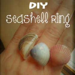 DIY Seashell ring |  turn seashells into beautiful jewelry with this easy tutorial from CrazyDiyMom.com Seashell Rings, Seashell Ring, Sea Shells Diy, Diy Beach Decor, Crafting Jewelry, Beach Diy, Seashell Jewelry, Diy Rings, Diy Creative Crafts