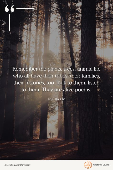 "Remember the plants, trees, animal life who all have their tribes, their families, their histories, too. Talk to them, listen to them. They are alive poems." -Joy Harjo  📷: Casey Horner  #WordForTheDay #GratefulLiving #Gratitude #Gratefulness #Grateful #Quote #Quotes #DailyQuote #QuoteOfTheDay #GratitudePractice #GratitudeDaily Nature Gratitude Quotes, Joy Harjo Quotes, Practice Gratitude, Gratitude Quotes, Daily Reminder, Daily Quotes, Gratitude, Quote Of The Day, Quotes