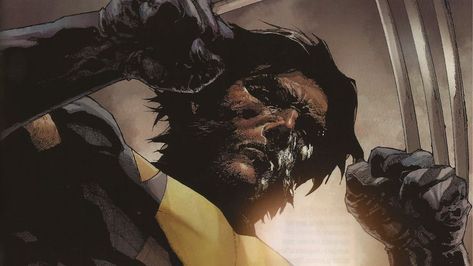 Comic Wolverine, Wolverine Wallpaper, Spiderman And Venom, X-men Wallpaper, X Men Marvel, Marvel Nova, Deadpool X Wolverine, X Men Comics, Wolverine Comic