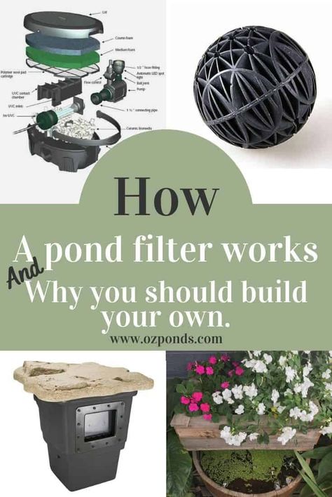 Pond filters- how do they work? – Ozponds Koi Pond Backyard, Pond Filter System, Small Water Gardens, Backyard Ponds, Bog Plants, Outdoor Ponds, Diy Pond, Diy Garden Fountains, Pond Waterfall