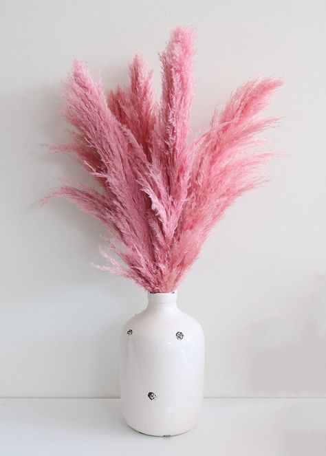 Pink Pampas, Pink Pampas Grass, Home Decor Men, Salon Suites Decor, Pink Photography, Dried Pampas, Grass Decor, Pampas Grass Decor, Grass Flower