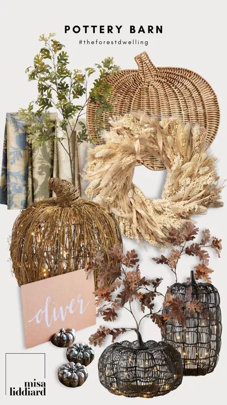 New fall decor from Pottery Barn. I love adding a few seasonal faux stems to a vase for an easy festive look. The lit pumpkins always sell fast! Pottery Barn Fall 2024, Pottery Barn Fall Decor, Unique Fall Decor, Pottery Barn Fall, Fall Decoration Ideas, Natural Fall Decor, Oak Branch, Faux Stems, Fall Coffee Table