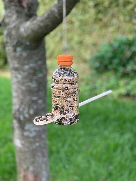 Bird Feeders For Kids To Make, Make A Bird Feeder, Water Bottle Crafts, Bird Feeder Craft, Easy Bird, Homemade Bird Feeders, Diy Bird Feeder, Diy Birds, Plastic Bottle Crafts