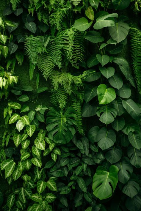 Discover and download free images Verdant Serenity: A Tapestry of Lush Green #Foliage https://aifusionart.com/verdant-serenity-a-tapestry-of-lush-green-foliage/?utm_source=facebook&utm_medium=social&utm_campaign=ReviveOldPost #ferns Plant Wall Texture, Foliage Aesthetic, Office Idea, Plant Texture, Beauty Aesthetic, Wall Texture, Green Foliage, Download Free Images, Plant Wall