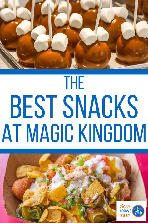 Best Food At Magic Kingdom, Disney Park Recipes, Food At Magic Kingdom, Disneyland Facts, Disneyland Recipes, Magic Kingdom Snacks, Magic Kingdom Food, Disney Baking, Disney Themed Food