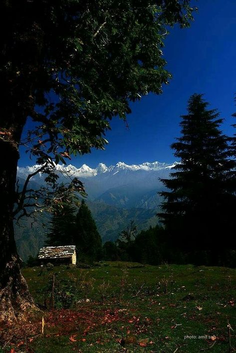 Munsiyari Uttarakhand, Pubg Background, Uttarakhand Culture, India Travel Photography, North East India, Kpop Dress, Mountain Aesthetic, Amazing India, Desktop Background Pictures