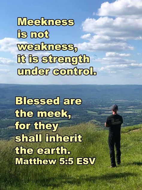 Matthew 5:5 Blessed Are The Meek, Aw Tozer, Godly Advice, Weakness Quotes, Pin Inspiration, Prayer Group, Matthew 5, Christian Pins, Actions Speak Louder Than Words