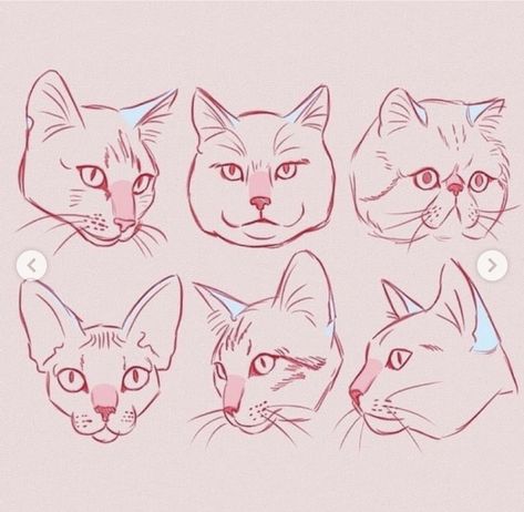 Cat drawing reference Big cat drawing reference  by AMEZURE Noses Sketch, Cat Nose Drawing, Big Cat Drawing, Cat Nose, Nature Sketch, Nose Drawing, Cat Sketch, Book Illustration Art, Cute Animal Drawings Kawaii