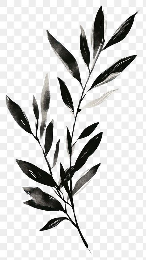 Olive Branch Drawing, Olive Branch Design, Sketch Simple, Branch Drawing, Black Watercolor, Decorative Leaves, Leaf Drawing, Sketches Simple, Black Leaves