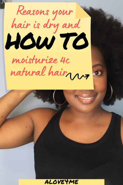 How To Treat Dry Ends Of Hair, How To Treat Natural Black Hair, How To Get Moisture Back In Hair, Extremely Dry Hair Remedies, Dry Hair Remedies For Black Women, Dry Scalp Black Women, Add Moisture To Dry Hair, How To Hydrate 4c Hair, Dry 4c Hair Remedies