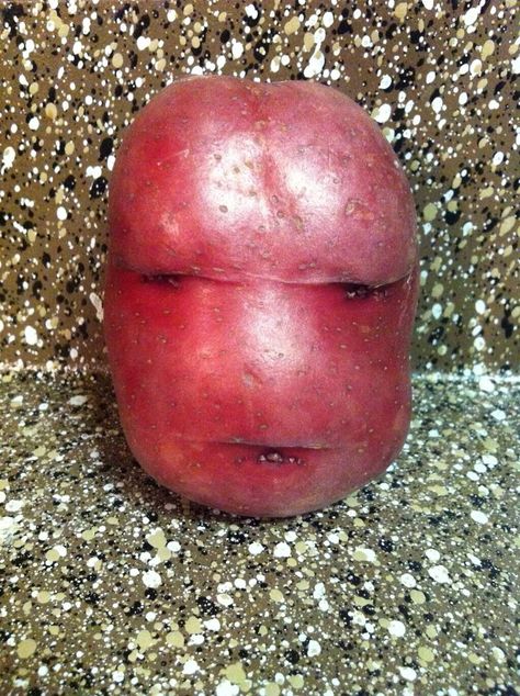 This "Ugly" Potato Is Not Impressed By Your Perfect Potato.... #FruitAndVegPortraits Potato Face, Fruit And Veg, Being Ugly, Potato, Your Perfect, Fruit, On Instagram, Instagram