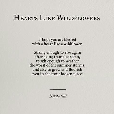 Hearts like wildflowers He Doesn't Touch Me Anymore, Wildflower Sleeve, Under Your Spell, Motivation Monday, Piece Of Paper, Poem Quotes, A Poem, Wonderful Words, Healing Journey