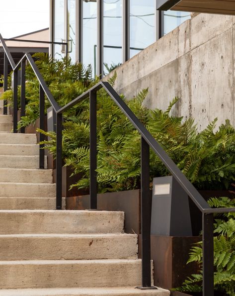 602 Taylor by HDLA « Landscape Architecture Platform | Landezine Landscape Railing Design, Modern Outdoor Stair Railing, Exterior Handrail Design, Stair Railing Exterior, Exterior Railing, Outdoor Railing, Exterior Stair Railing, Exterior Handrail, Outdoor Handrail