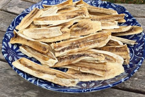 Dehydrating bananas to make banana "candy" is an amazingly delicious treat! Dehydrating Bananas, Dehydrated Bananas, Recipes Using Bananas, Banana Candy, Dried Bananas, Dehydrated Food, Banana Healthy, Dehydrator Recipes, Healthy Delicious