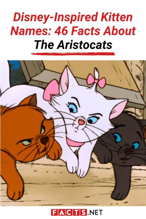 The Aristocats Facts & Cute Kitten Names: Disney-Inspired Ideas Aristocats Names, Aristocats Kittens, Kittens Names, Kitten Names, Beloved Movie, Perfect Cute, The Aristocats, Fascinating Facts, Animal Facts